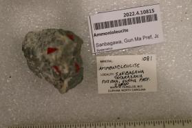 Ammonioleucite