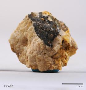 Columbite-(Fe) with Albite