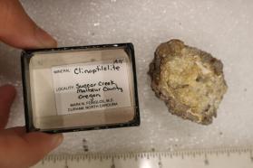 Clinoptilolite