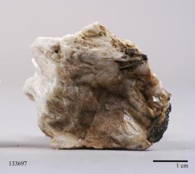 Manganocolumbite with Albite and Lepidolite
