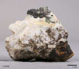 Columbite-(Fe) with Albite