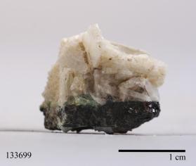 Columbite