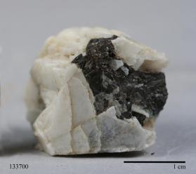 CASSITERITE