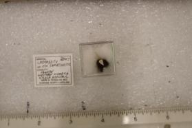 Crooksite with Sabatiersite