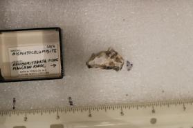 Bismutocolumbite