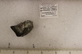 Empressite with Rickardite