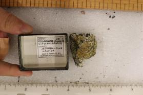 Hydrokenoelsmoreite (Ferritungstite) with Anthoinite