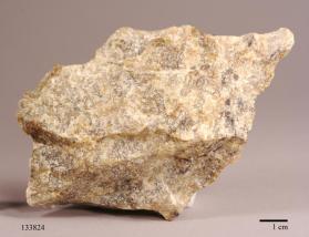 Turneaureite