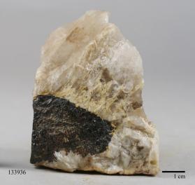 Manganocolumbite