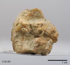 Hydroxylherderite with Albite and BERYL