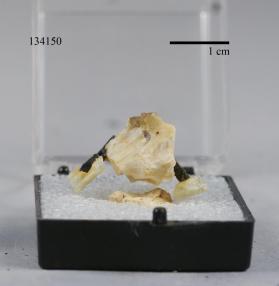 Columbite-(Fe) with Albite and BERYL