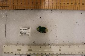 Phillipsburgite