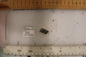 Platynite with Paraguanajuatoite (not in IMA)
