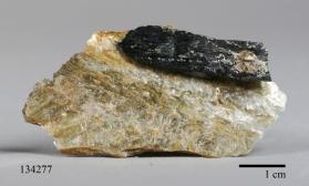 Columbite with Muscovite