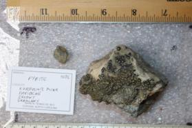 Pyrite (2 pieces)