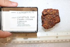 Chlorargyrite