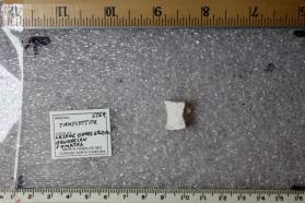 Truscottite