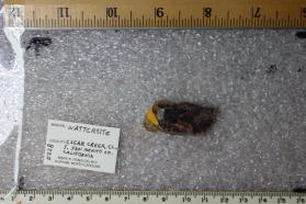 Wattersite