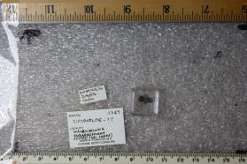 Zirconolite-3T
