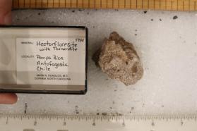 Hectorfloresite with Thenardite