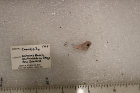 Coombsite