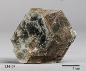 Muscovite