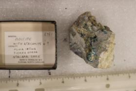 Boleite with Atacamite