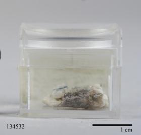 Columbite-(Fe)