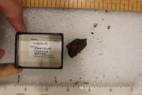 Indialite