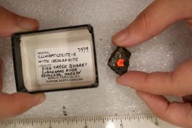 Clinoptilolite-K