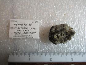 Newberyite