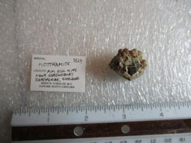 Mottramite