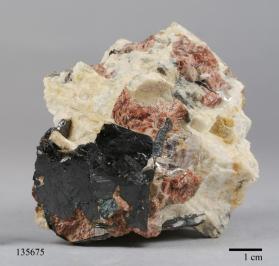 Columbite-(Fe) with ALMANDINE and FLUORAPATITE and MICROCLINE