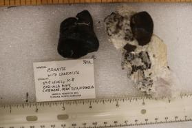Bornite (2 pieces)