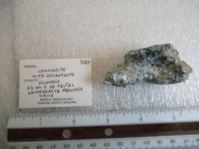 Lammerite with Lemanskiite