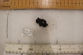 Proustite with Acanthite