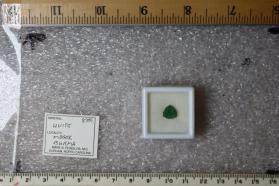 Uvite