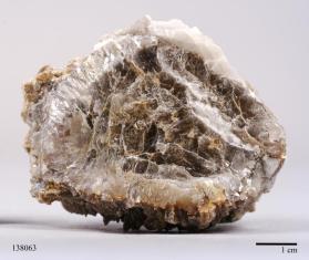 Muscovite