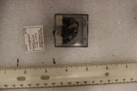 Arsenopyrite (Perky Box)