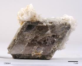 Muscovite