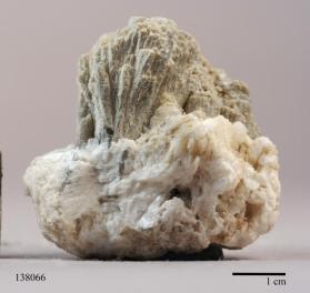 Muscovite