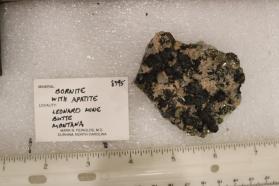 Bornite with Apatite