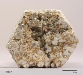 Muscovite