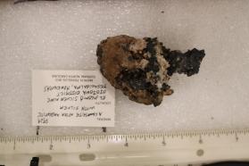 Acanthite with Silver