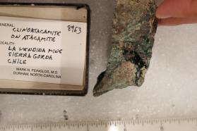 Clinoatacamite with Boleite