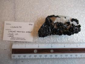 Ludwigite
