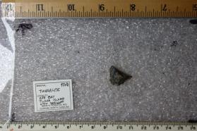 Tuhualite