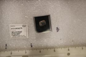 Bellbergite
