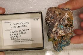 Clinoatacamite