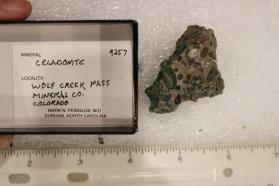 Celadonite